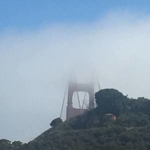 Meet your Posher, Marie